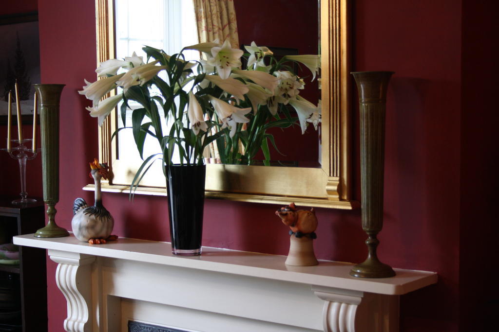Cheriton House Bed and Breakfast Winfrith Newburgh Exteriör bild